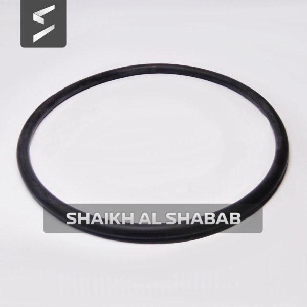 Ring Sealing - 4M0660