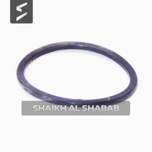 Ring Backup-1504105