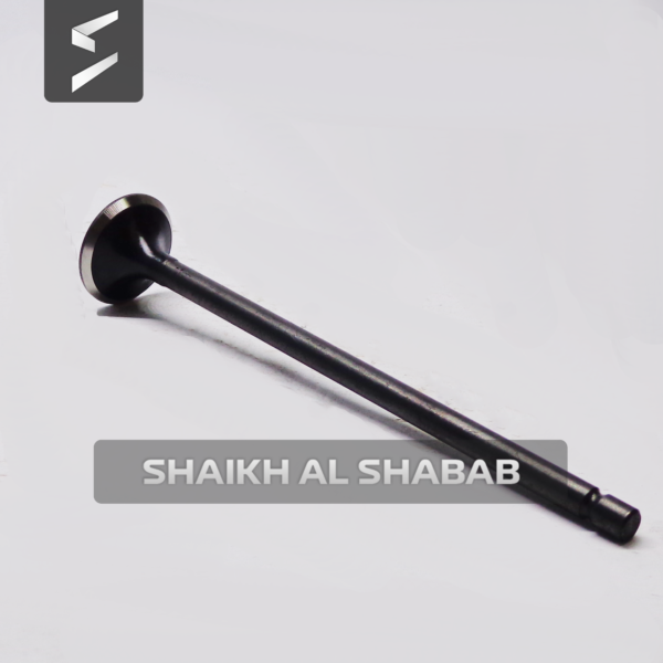 Valve Exhaust-2941685