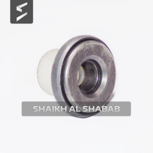 Cap Valve Spring-6I0281