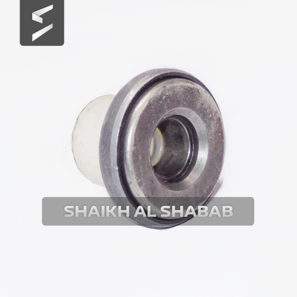 Cap Valve Spring-6I0281